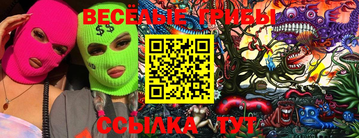 Торжок  Галлюциногенные грибы Psilocybine cubensis  Псилоцибиновые грибы мицелий  Вход с VPN 