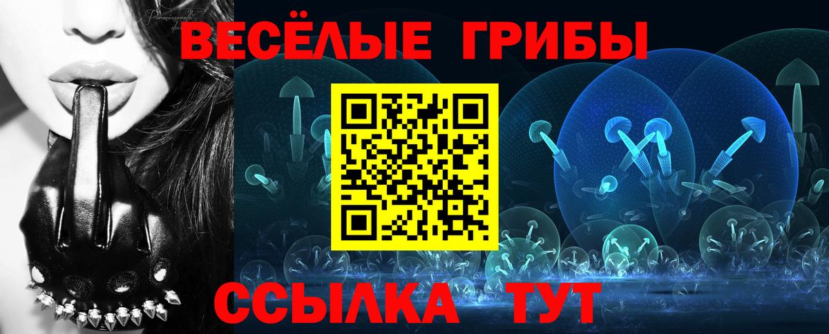 Галлюциногенные грибы Psilocybine cubensis Торжок
